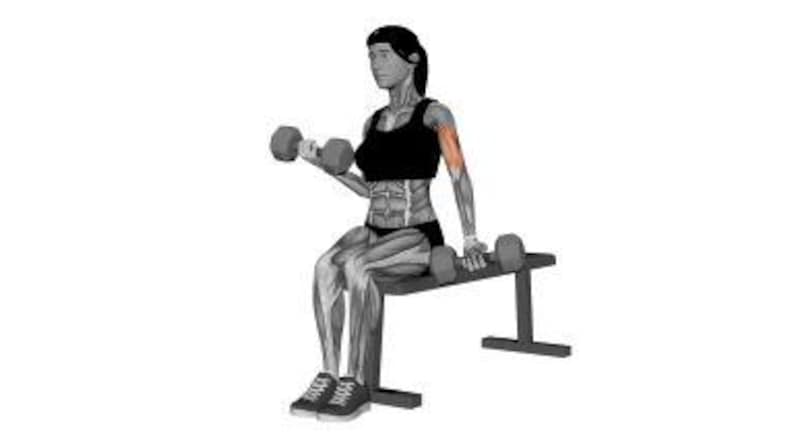 Op de afbeelding: Een grijswaarden illustratie van een persoon die op een bank zit en een dumbbell curl uitvoert. De persoon houdt een dumbbell in elke hand, met &eacute;&eacute;n arm gebogen, waarbij de biceps te zien is. De afbeelding staat tegen een witte achtergrond.