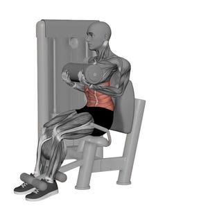 Op de afbeelding: 3D-anatomische illustratie van een persoon die een zittende buikspiercrunchmachine gebruikt. De persoon zit met de benen vast en houdt een gewatteerde rol vast. De buikspieren zijn rood gemarkeerd.