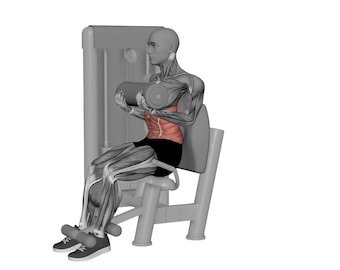 Bauch Crunches Maschine Animation Video + Green Screen Version