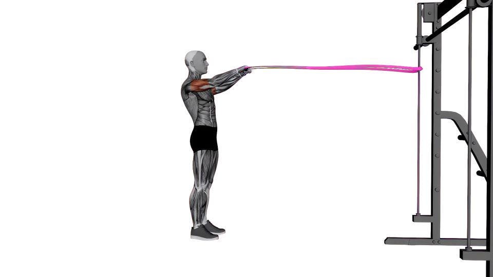 Cgi Workout Routine 12500+ Videos, 4500+ Illustrations, Workout, Gym, Exercise, Fitness ...