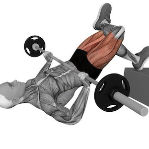 Op de afbeelding: Een anatomische illustratie van een persoon die een barbell heupstoot oefening uitvoert. De persoon ligt op zijn rug met een barbell over zijn heupen en &eacute;&eacute;n voet is verhoogd op een grijs blok. De spieren zijn gemarkeerd.