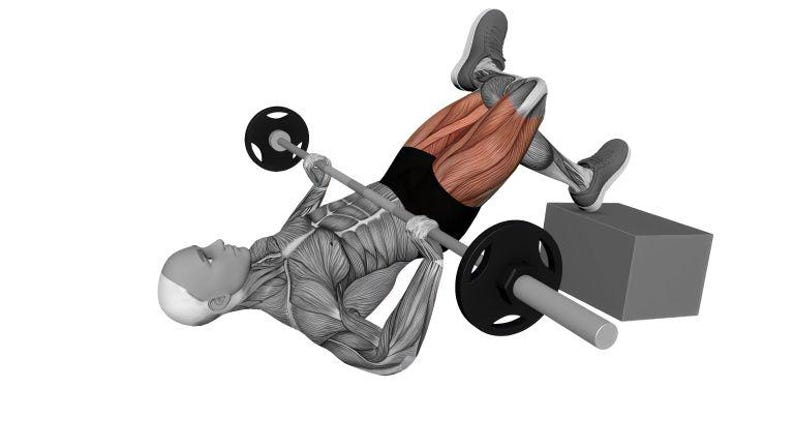 Op de afbeelding: Een anatomische illustratie van een persoon die een barbell heupstoot oefening uitvoert. De persoon ligt op zijn rug met een barbell over zijn heupen en &eacute;&eacute;n voet is verhoogd op een grijs blok. De spieren zijn gemarkeerd.