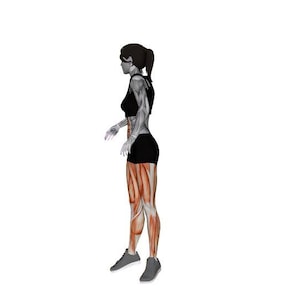 Op de afbeelding: Anatomische illustratie van een persoon in sportkleding, die de spierstructuur laat zien. De figuur wordt in zijaanzicht weergegeven, gekleed in een zwarte sport-bh, shorts en sneakers. De spieren zijn gemarkeerd in tinten rood en bruin.