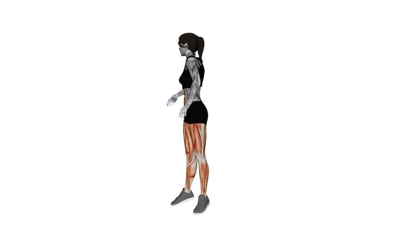 Op de afbeelding: Anatomische illustratie van een persoon in sportkleding, die de spierstructuur laat zien. De figuur wordt in zijaanzicht weergegeven, gekleed in een zwarte sport-bh, shorts en sneakers. De spieren zijn gemarkeerd in tinten rood en bruin.
