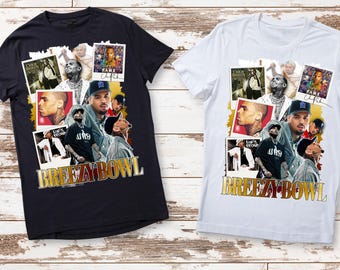 Breezy Bowl Xx Tour Shirt, Chris Brown Fan Shirt, Custom Shirt - Etsy