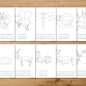 May include: Black and white line drawings of various insects and bugs, including a butterfly, bee, dragonfly, snail, ladybug, caterpillar, mantis, ant, grasshopper, and spider. Each drawing is labeled with the name of the insect.