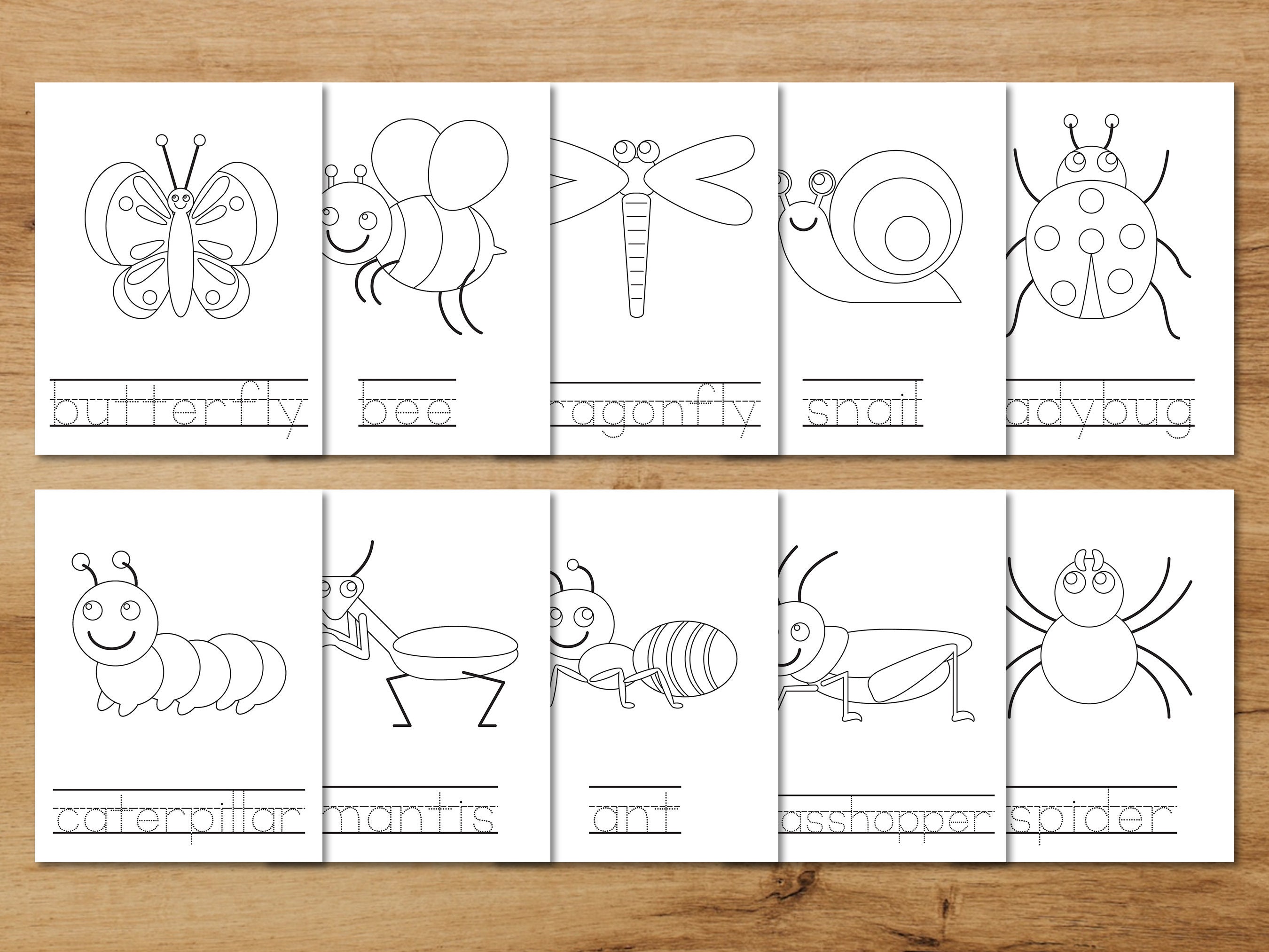 10 Bugs and Insects Coloring and Tracing Printable Worksheet for