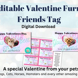 De/vers l’étiquette de la Saint-Valentin pour animaux de compagnie| Étiquette cadeau, gramme de bonbons, Cadeau pour femme, Cadeau pour mari, Salle de classe Valentine, Animaux de compagnie, Animaux, Valentine, Ami