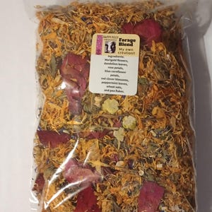 Foraging Blend or treat ball toy, multiple options