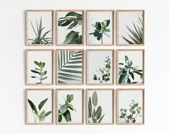 Set of 12 Botanical Wall Art Print, Leaf Print, Botanical Room Decor, Monstera Leaf Print Set, Tropical Palm Leaf, Tropical Plants Print