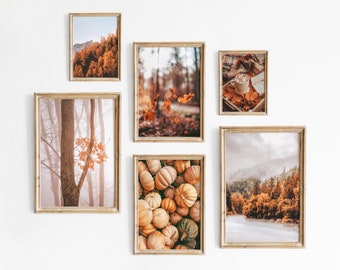 May include: A gallery wall set of six rectangular framed prints featuring autumn scenes, including a forest with orange trees, falling leaves, a mug of hot cocoa, a tree trunk in fog, a pile of pumpkins, and a river landscape with pine trees.