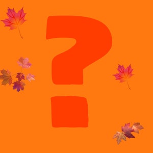Fall mystery bracelet