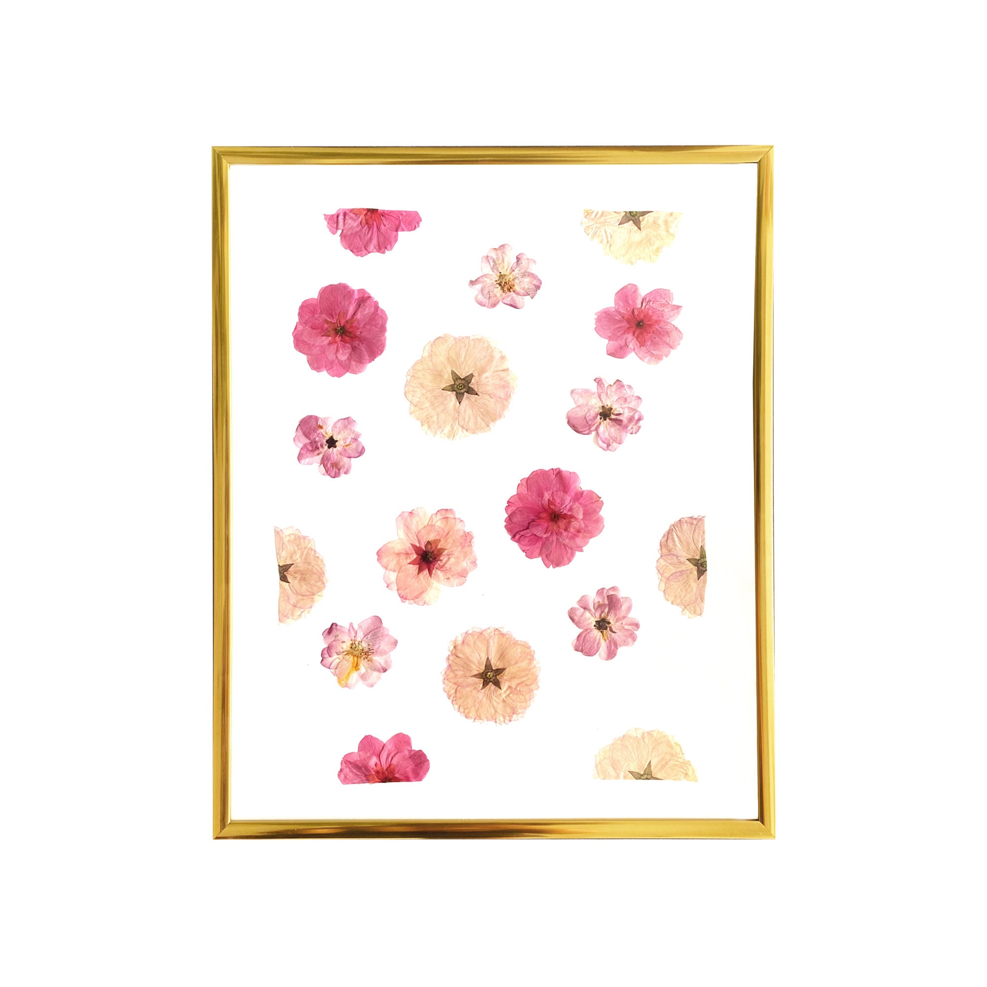 Herbier Encadré en Fleurs Séchées