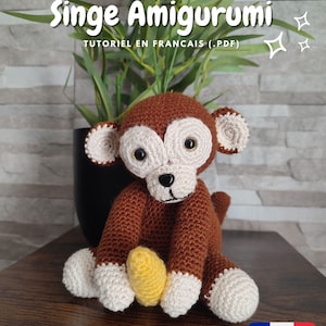 Monkey Crochet Pattern - Amigurumi PDF Tutorial in French