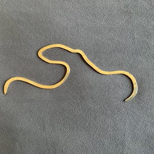 Brass Octopus Bookmark