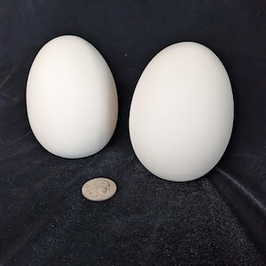 May include: Two large, white, egg-shaped objects are displayed on a dark surface, with a US quarter coin for size comparison. The eggs have a smooth, matte finish. The background is a dark, textured fabric.