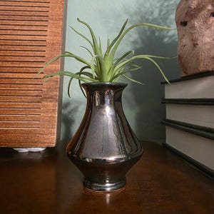 Könnte beinhalten: Eine kleine, dunkle Metallvase mit ausgestelltem Ober- und Unterteil, die eine grüne Luftpflanze enthält. Die Vase steht auf einer dunklen Holzoberfläche. Die Luftpflanze hat lange, schlanke grüne Blätter, die sich nach außen erstrecken.