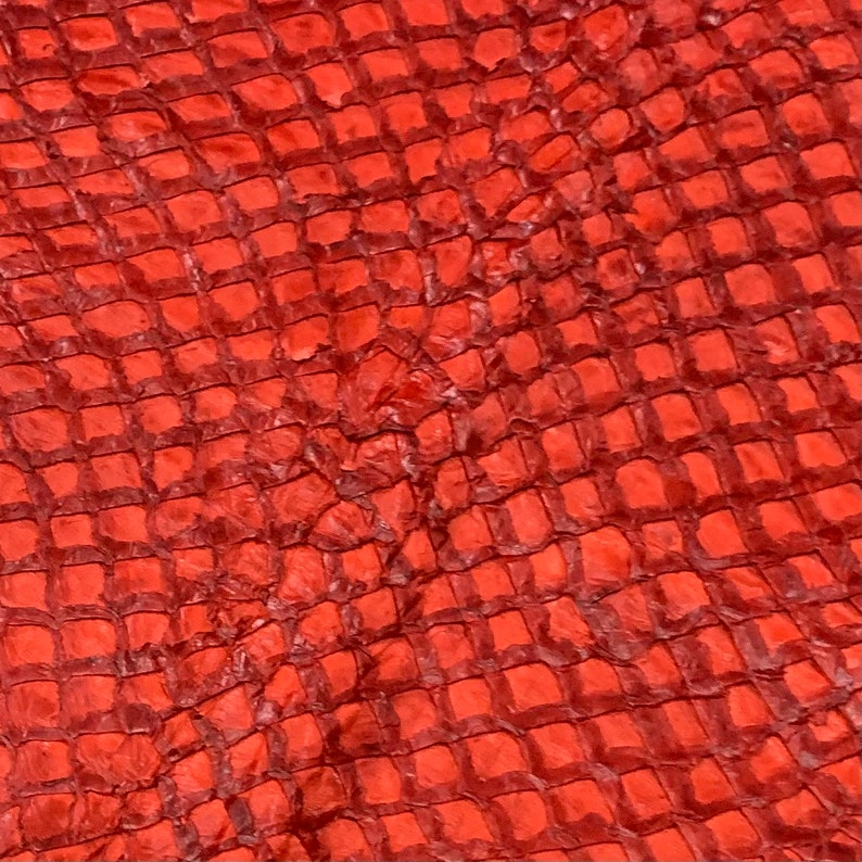 Arapaima Ranking TOP12 Leather Shiny New product! New type Red Medium