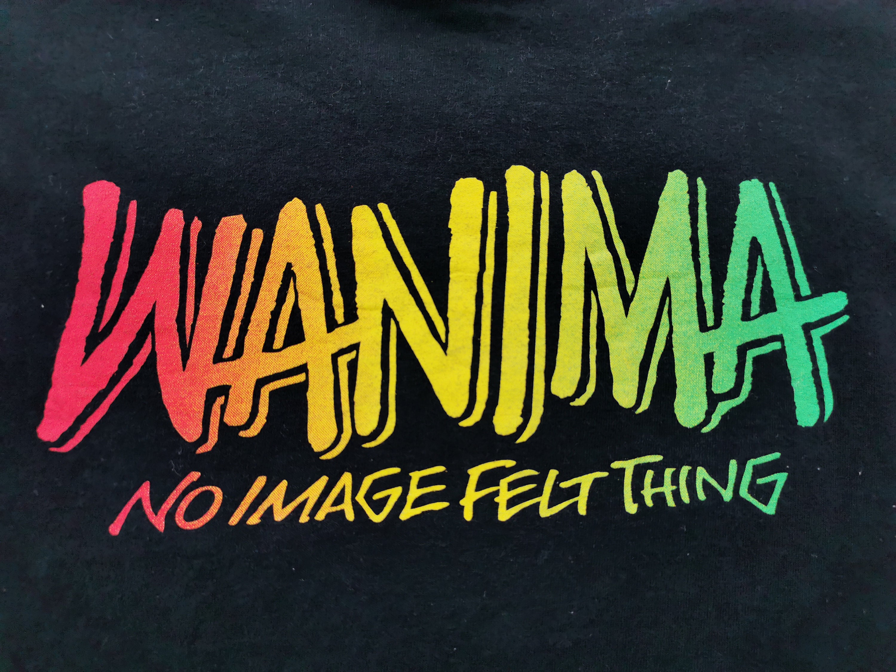 WANIMA Shirt WANIMA Everybody Tour Japanese Punk Rock Band T