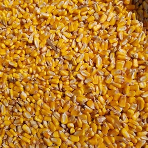 10 LBs Whole Kernel Corn