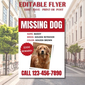 May include: Missing dog flyer with a photo of a golden retriever. The flyer says "Missing Dog" in red letters and includes the dog's name, breed, color, and a $200 reward. The phone number to call is 123-456-7890.