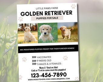 Puppies for sale  Dog Flyer, Dog Flyer, Cat flyer, Puppies breeder, Flyer Template, Canva Flyer
