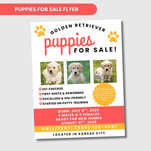 Pode incluir: Um folheto com o texto "PUPPIES FOR SALE FLYER" no topo. O folheto anuncia filhotes de Golden Retriever à venda. Inclui fotos de filhotes, detalhes sobre sua saúde e informações de contato.