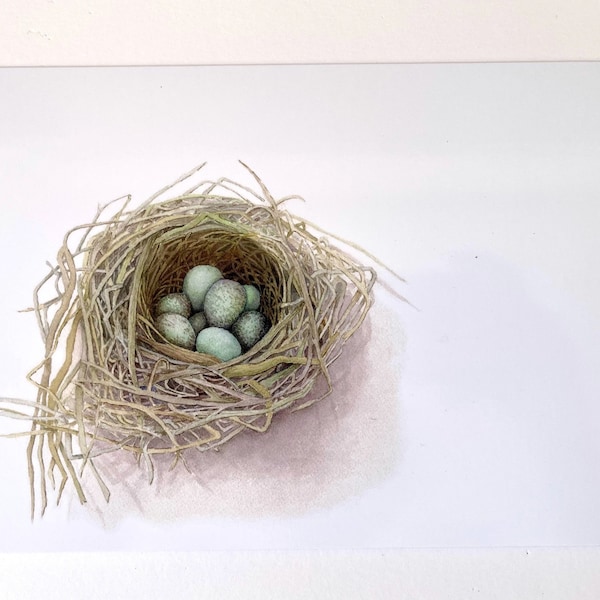 Blackbird's Nest, A5 Greeting Card, from an Original Watercolour Painting by Kirstie Trobe Fine Art. Blank inside.