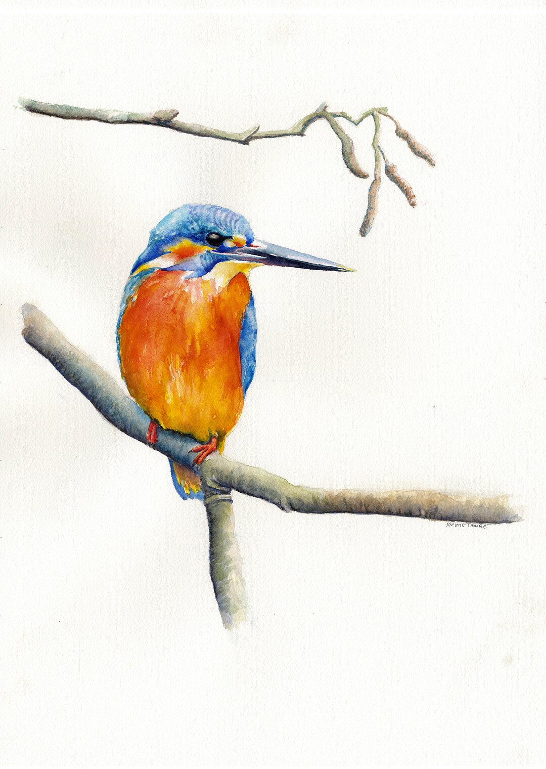 Kingfisher Art Print & Mount, Ready to Frame, 10x8" Giclee, Watercolour ...