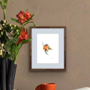 Robin, Fine Art Giclee 10x8&quot; Art Print