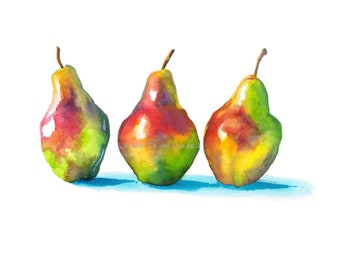 Trio of Pears, Fine Art Giclee Limited Edition Print from an Original Watercolour Painting