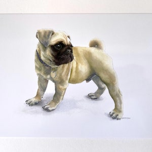 Tarjeta de felicitación Pugnacious, tamaño A5, a partir de una acuarela original de Kirstie Trobe Fine Art. Interior en blanco.