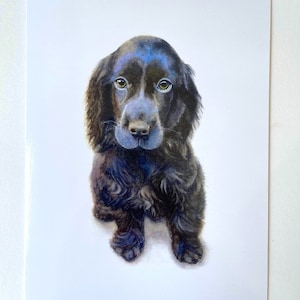 Tarjeta de felicitación tamaño A5, con un perro Spaniel azul, a partir de una acuarela original de Kirstie Trobe Fine Art. Interior en blanco.