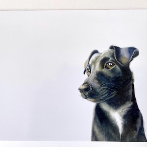 Tarjeta de felicitación tamaño A5, On Lookout Duty, a partir de una acuarela original de Kirstie Trobe Fine Art. Interior en blanco.