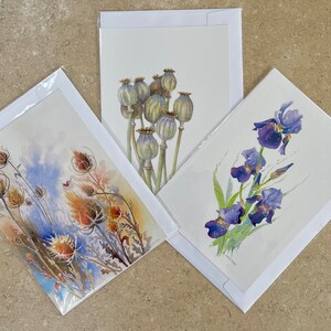 Wenskaartenset, A5, bloemen, van origineel aquarelschilderij van Kirstie Trobe Fine Art. Blanco binnenkant.