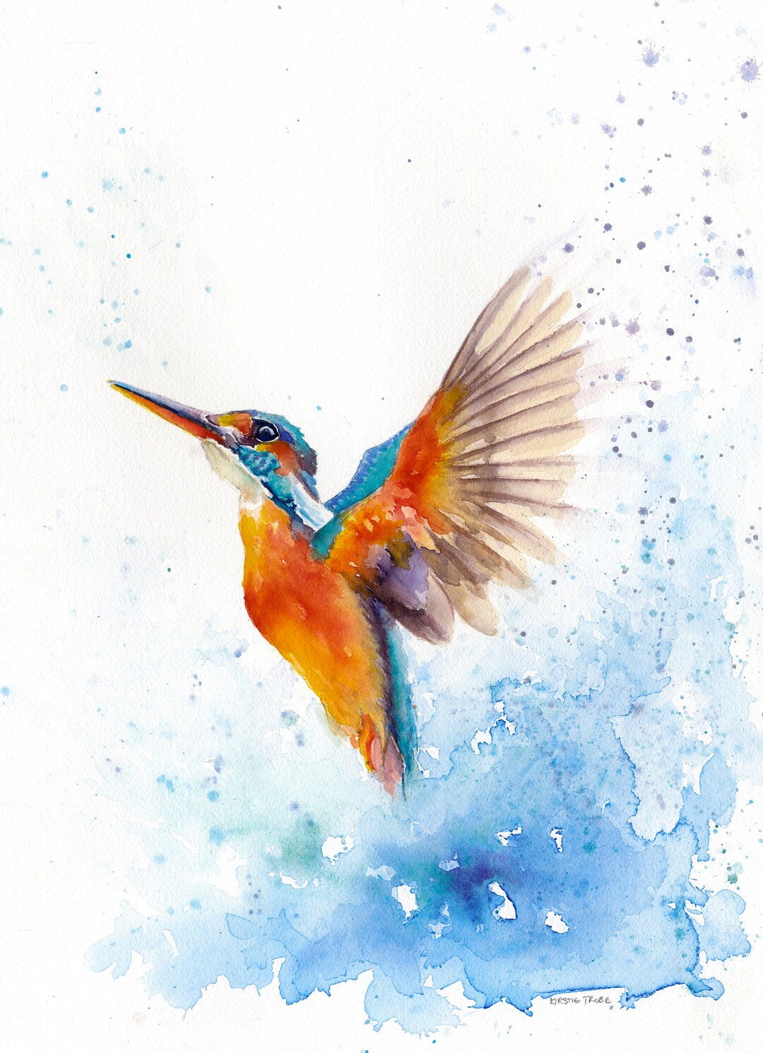 Kingfisher Art Print & Mount, Ready to Frame, Limited Edition, Open ...