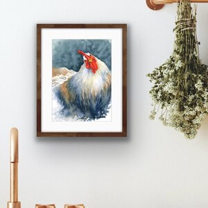 Curious Chicken, Fine Art Giclee 10x8&quot; Art Print
