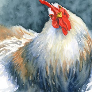 Curious Chicken, Fine Art Giclee Limited Edition Print from an Original Watercolour Painting