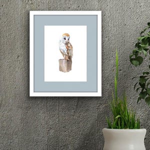 Barn Owl, Fine Art Giclee 10x8&quot; Art Print