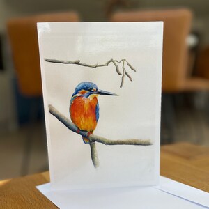 Kingfisher Resting, A5-wenskaart, naar een origineel pastelschilderij van Kirstie Trobe Fine Art. Blanco binnenkant.