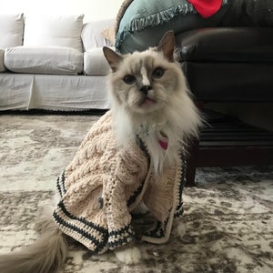Folklore Cardigan Pattern