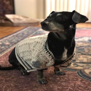 Folklore Cardigan for Pets Pattern