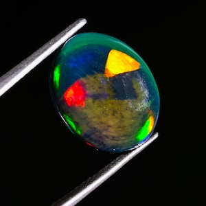 Könnte beinhalten: Ein ovaler schwarzer Opal-Edelstein, der von einer Metallpinzette gehalten wird. Der Stein hat eine dunkle, durchscheinende Basis mit lebhaften, irisierenden Blitzen in leuchtendem Gelb, Rot und Grün, die über die glatte Oberfläche verteilt sind.