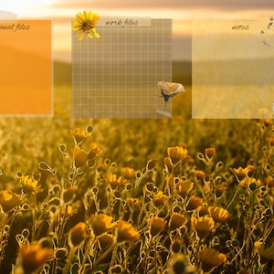Sunflower Desktop Wallpaper  | Aesthetic   | Editable on Canva