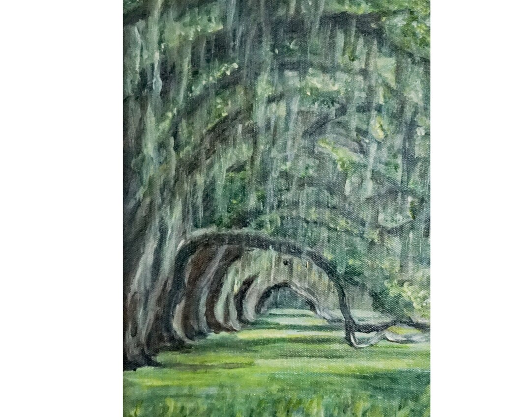 Live Oak Print, Spanish Moss on Trees Print, Low Country Print, Mossy Live Oak Wall Art ...