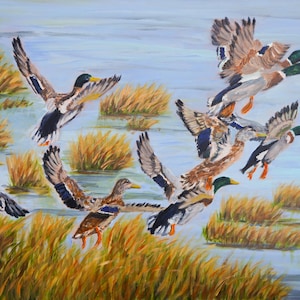 Stockenten Enten fliegen Kunstdruck: Wasservögel im Sumpf