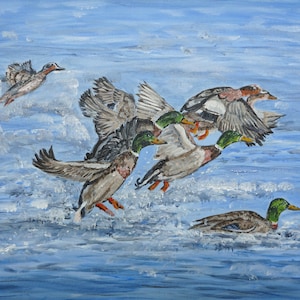 Stockente Enten Acrylbild: Wasservogel Wandbild