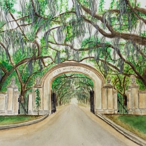 Savannah Georgia Art Print, Live Oak Print, Savannah Georgia Print, Wormsloe Print, Tree Lined Road Print, Savannah Watercolor Print