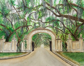 Savannah Georgia Watercolor Print: Wormsloe Plantation Live Oak Archway