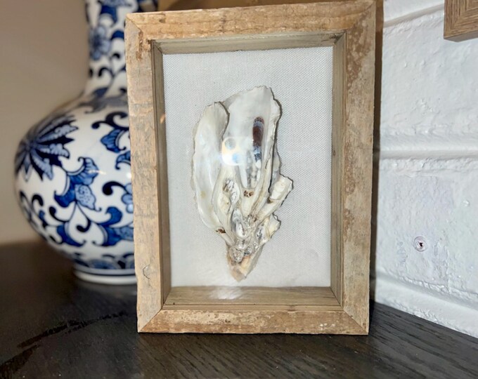 Oyster Shell Shadow Box, Oyster Shell Wall Art, Coastal Shadow Box